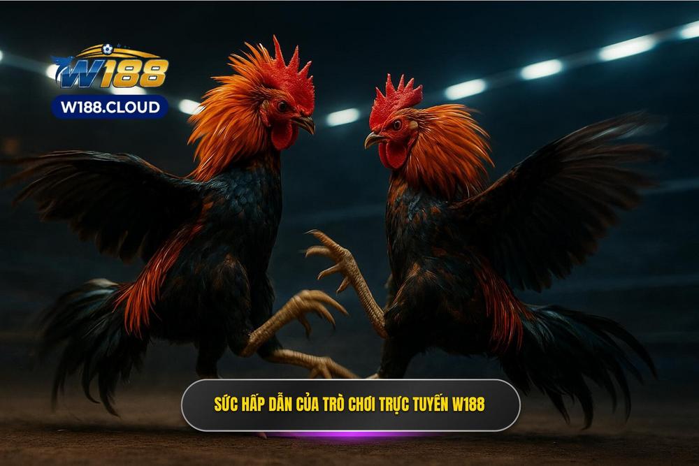 1.sức Hút Mãnh Liệt Từ đấu Trường Đá Gà W188 Trực Tuyến